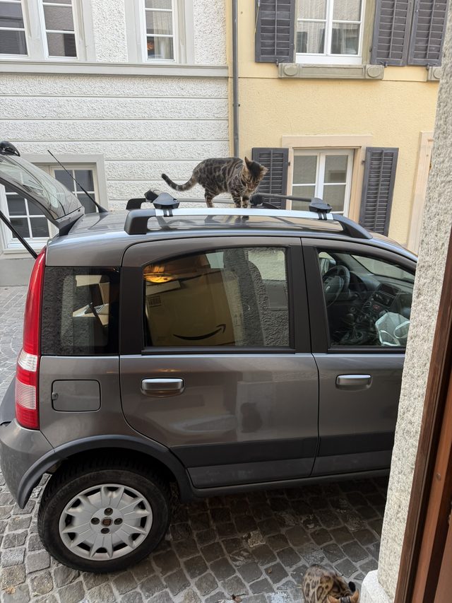 Fiat Panda 169 4x4 – Foto 5